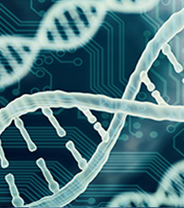 genomics-and-bioinformatics